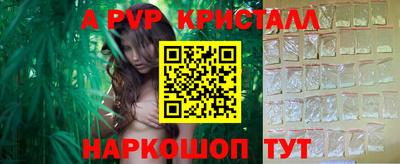 spice Кингисепп