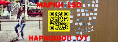 spice Кингисепп