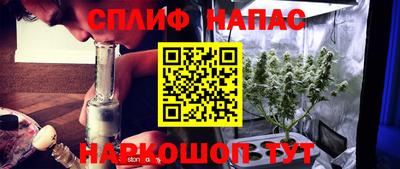 spice Кингисепп