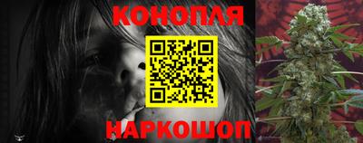 spice Кингисепп