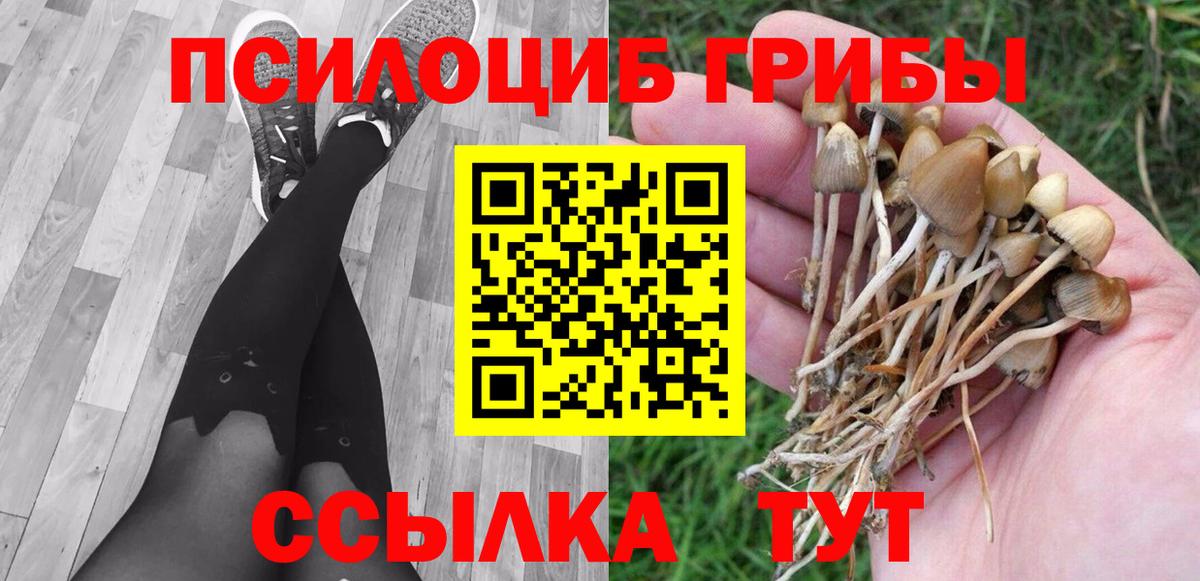Галлюциногенные грибы Psilocybe  Вход с VPN  Кольчугино  Галлюциногенные грибы GOLDEN TEACHER 