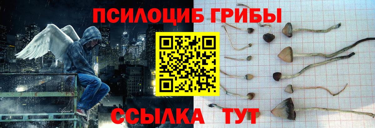 Галлюциногенные грибы GOLDEN TEACHER Кольчугино