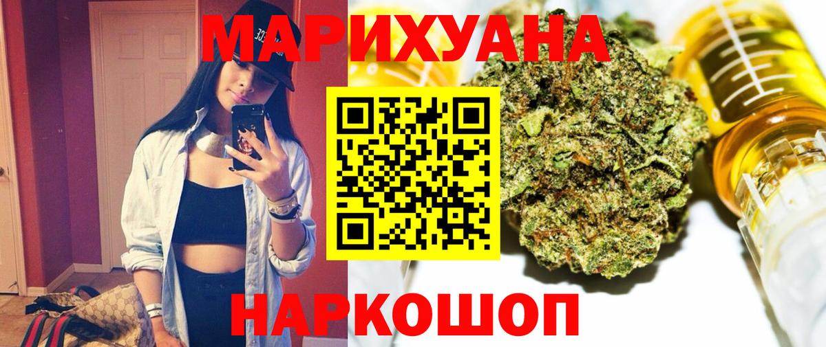 Канабис планчик Кольчугино